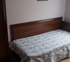 1-местный номер эконом в Губерния