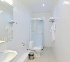 Номер люкс улучшенный в Мезонин