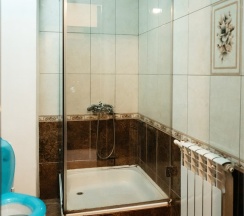 Комфорт 2-х местный в Milana