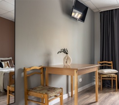 Стандартный номер с собственной ванной в Номера в Гатчине