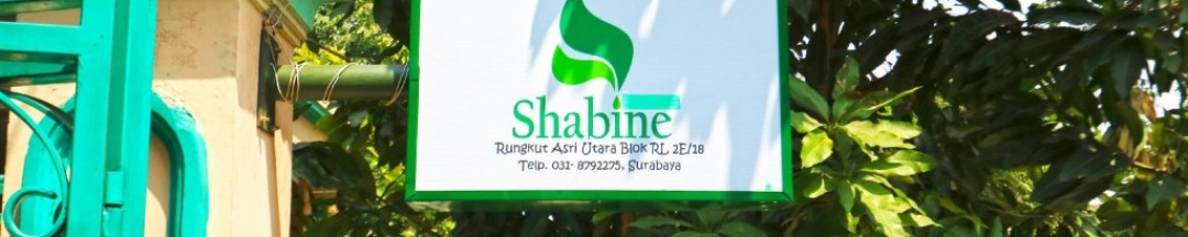 Люкс Standard в Hotel Shabine
