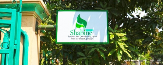 Номер Superior в Hotel Shabine