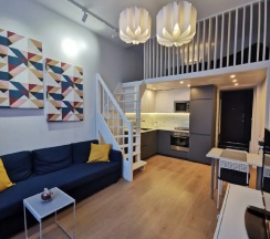 Апартаменты студия в Inkeri Apartment (Инкери Апартмент) на улице Тургенева