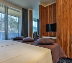 Люкс Deluxe в Отель Palanga Life Balance SPA