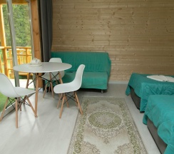 Номер комфорт семейный в Aktash village