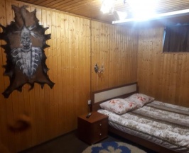 Номер стандарт с 1 двуспальной кроватью в Камчатский стиль