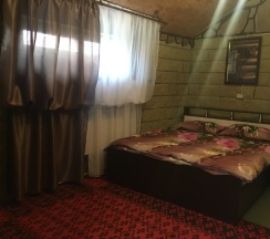 Коттедж в Ковчег у реки