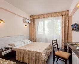 2-местный номер стандарт улучшенный (корпус В) в Русич