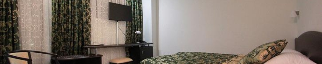 Номер студия с 1 двуспальной кроватью в Hotel Ring