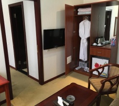 Одноместный люкс в Royal hotel