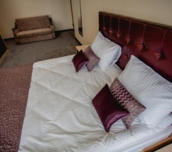 Трёхместный номер "Делюкс" с Сауной с 1 двуспальной кроватью King Size и диван-кроватью в Alex Aqua Hotel