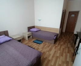 Номер стандарт с 2 односпальными кроватями в Геолог