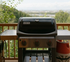 Barn №1 в Dk Land