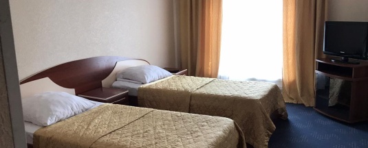 Номер стандарт с 2 односпальными кроватями в Новый