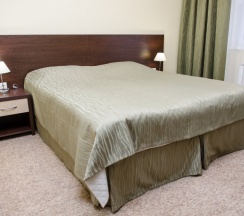 Двухместный номер Standard с балконом двуспальная кровать в Топаз