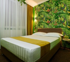 Стандарт в Сова