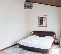 номер стандартный 205 в Панорама