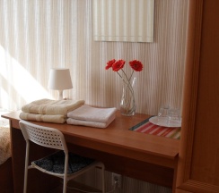 Номер Economy в Nargilia