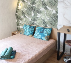 Двухместный номер Standard Мансарда двуспальная кровать в Лев Толстой