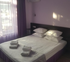 Номер полулюкс с 1 двуспальной кроватью в Триумф