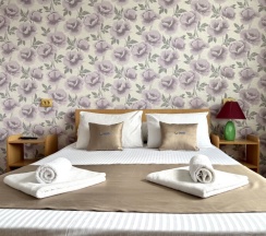 Двухместная комната в Корнилофф от Травел Хотелс Антураж