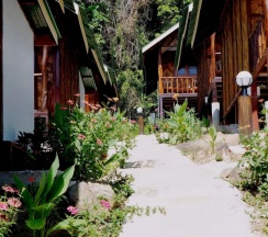 Двухместное бунгало (2 отдельные кровати) в Phi Phi Jungle Hill Bungalow
