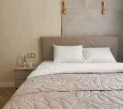 г.Санкт-Петербург ул.Черняховского д.56 в Апартаменты Чей Чемодан