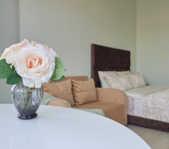 4-местные апартаменты студия в Горное эхо