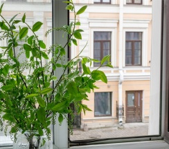 Стандартный номер с 1 кроватью в Демут