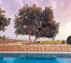 Люкс c 1 комнатой в Aphrodite Hills Hotel