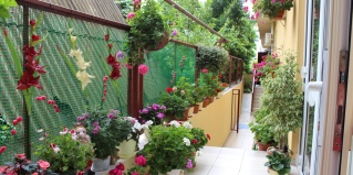 Лазаревское: Гостевой дом Минск