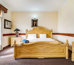 Одноместный номер Standard в OYO 120 Concord International Hotel
