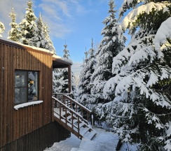 FOREST HOUSE Локация КП "ЧЕРНИЧНОЕ" в Черничный склон