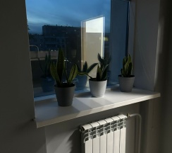 6 местный номер в Квартирант