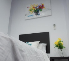 Одноместный номер Standard в AYZ Frailes - Auto check-in property