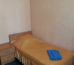 Одноместный номер Эконом в Усадьба