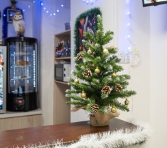 Трёхместный номер с двухъярусной кроватью в Timelapse