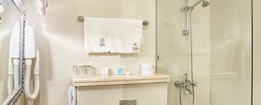 Одноместный бюджетный номер в Rossi Boutique Hotel & SPA