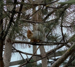 Business Double в Графский парк