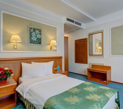 Стандарт одноместный в Альянс Бородино