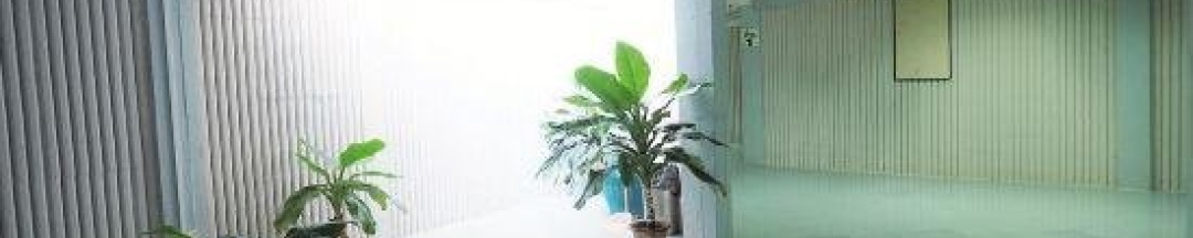 Одноместный номер Standard односпальная кровать в Pachara Hotel and Restaurant