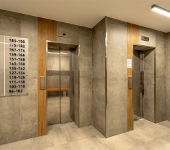 Абрикос 244 в Neoroom Service