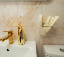 Люкс Шале в Mustang