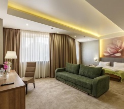 Двухместный номер Superior двуспальная кровать в RENION HILLS