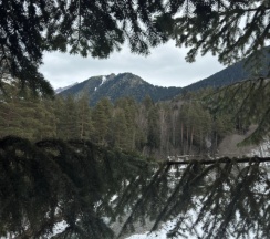 Коттедж Premium с балконом в Gorskiy Club