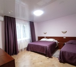 Стандарт TWIN улучшенный в Грин парк