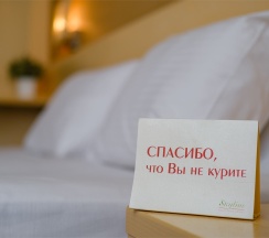 Стандартный номер с одной двуспальной кроватью в Скайлайн