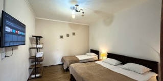 Степанцминда (Казбеги): Апартаменты Meshia Apartment