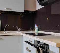 1-комнатные апартаменты люкс с 1 двуспальной кроватью в RentPlaza (РентПлаза) на улице Шейнкмана