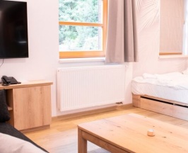 Двухместный номер Superior 2 отдельные кровати в Amenity Resort Spindleruv Mlyn